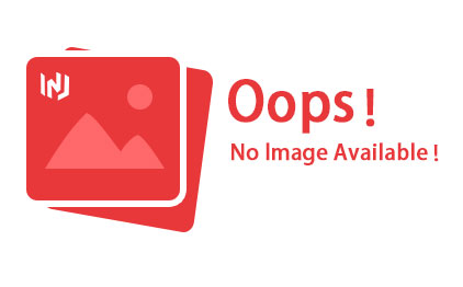 Common Rail 295719-0560 Injection Repair Kit G4 Series Encyclopedia