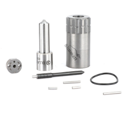 1 - injectionrepairkit 0950198900-Injection-Repair-Kit-pic