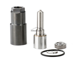 0950098110-Injection-Repair-Kit-pic