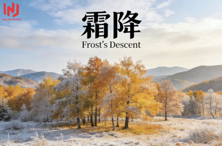 Diesel Injection Repair Kit- Blog - Page 3