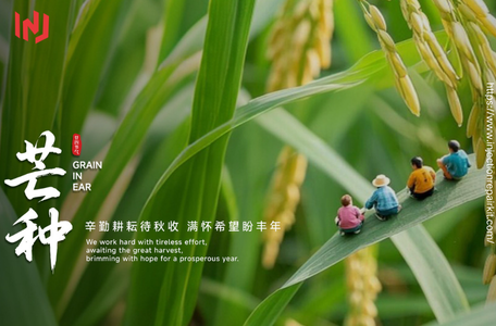 Diesel Injection Repair Kit- Blog