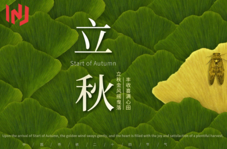 Diesel Injection Repair Kit- Blog