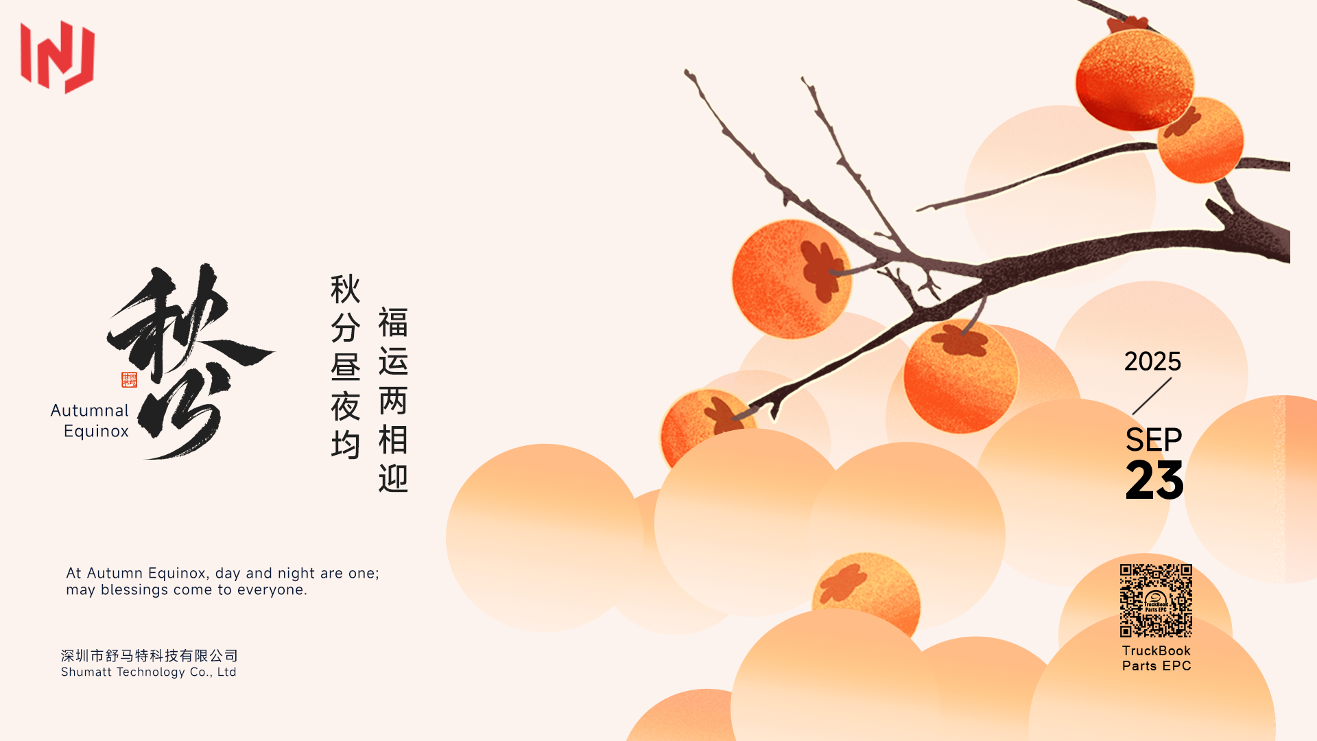 Autumn Equinox Discount on the 095009-8010 Injection Repair Kit