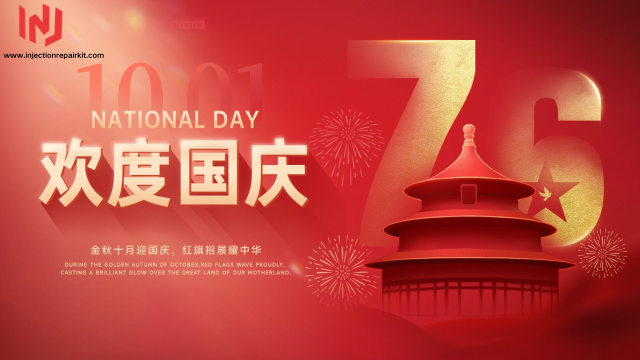 China National Day Promotion on the 095019-5600 Injection Repair Kit