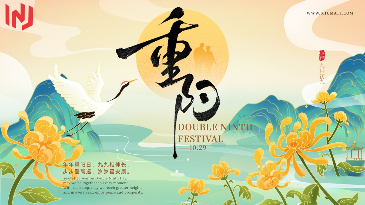 Chongyang Festival Sale: Honor Elders with 095019-5000 Injection Repair Kit