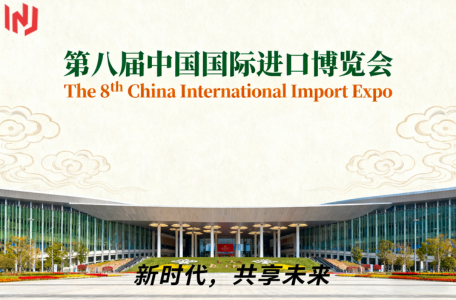 Embrace the CIIE Spirit: Global Deals with 095019-7170 Injection Repair Kit