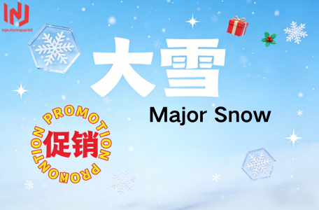 Ensure Engine Health with 095019-5660 Injection Repair Kit This Major Snow